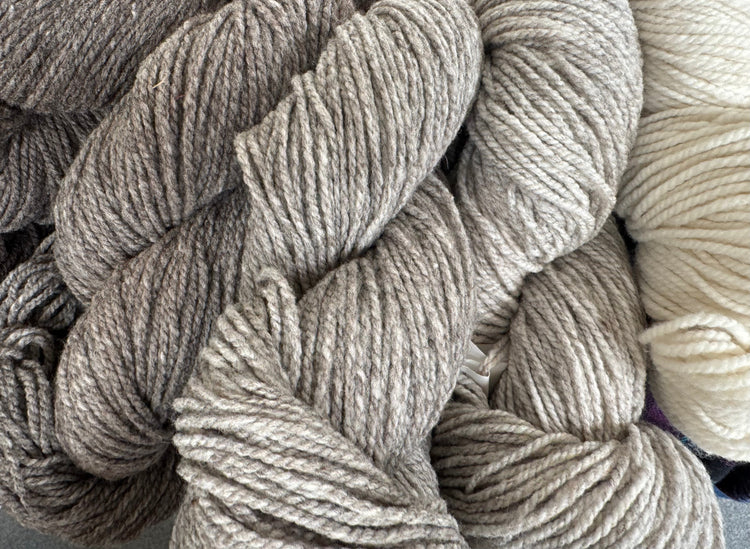 naturally colored wool yarns in skeins next to each other.