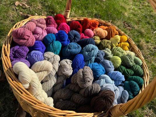 1 oz 100% Wool Fingering Weight Dyed