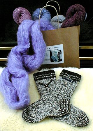 Sock of the Month Pattern Collection 2003 by Mary Dominski