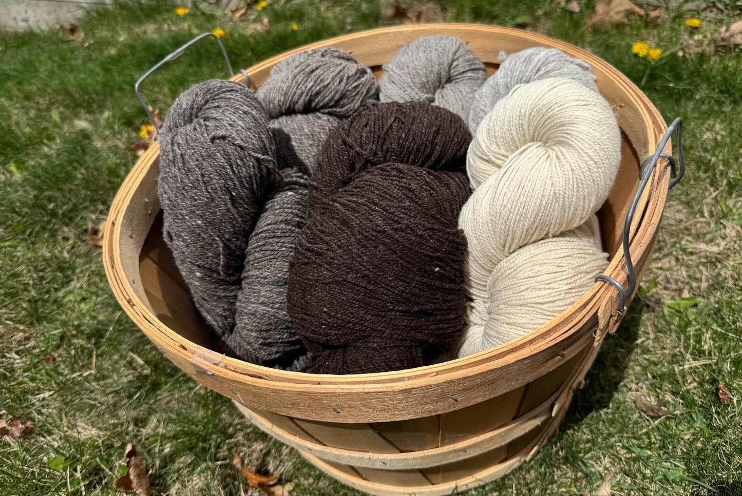 100% Wool Fingering Weight Naturals