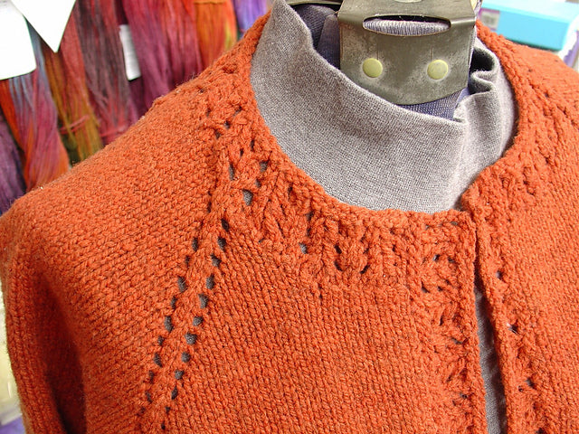 Autumn Evening Cardigan Pattern by Anne Bosch